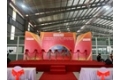 Sài Gòn Light Event - Đơn Vị Tổ Chức Khánh Thành Trọn Gói Cho Khu Công Nghiệp Và Doanh Nghiệp FDI